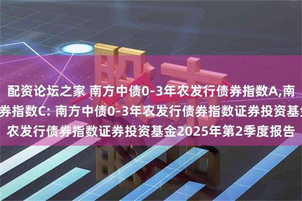 配资论坛之家 南方中债0-3年农发行债券指数A,南方中债0-3年农发行债券指数C: 南方中债0-3年农发行债券指数证券投资基金2025年第2季度报告
