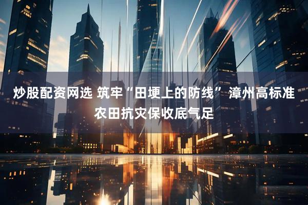 炒股配资网选 筑牢“田埂上的防线” 漳州高标准农田抗灾保收底气足